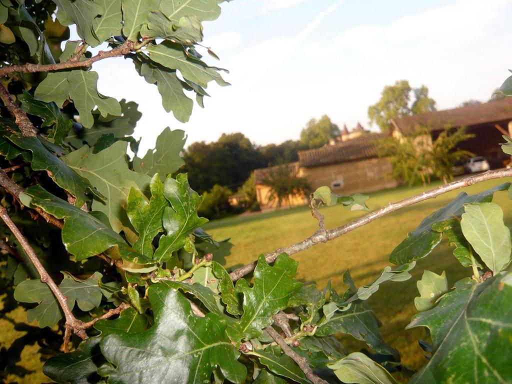 Bed & Breakfast - Maison De Marie Otel Messimy-sur-Saone Dış mekan fotoğraf